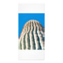 Cactus rack cards