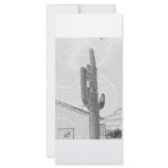 CACTUS rack cards