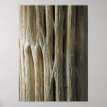 Cactus Skeleton Posters