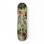 Cactus Spines Thorns Cacti skateboards