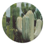 Cactus stickers