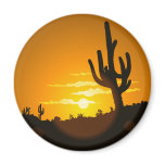 Cactus Sunset magnets