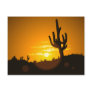 Cactus Sunset Postcard