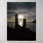 Cactus Sunset posters
