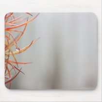 Cactus Thorns mousepads
