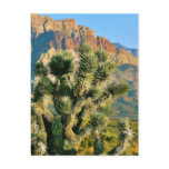 Cactus Tree Postcards