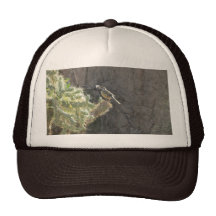 Cactus Wren Trucker Hat