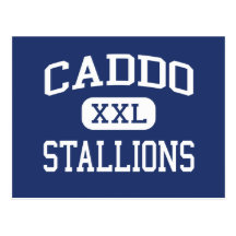 Caddo Stallions Middle Shreveport Louisiana Postcards