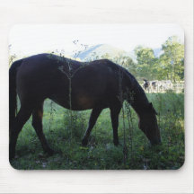 Cades Horses Mousepad