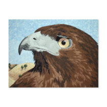 Cadir - Red-tail Hawk Post Card