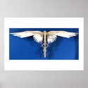 Caduceus -Symbol of the Healing Arts posters