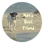 cady_broad, Man'sBestFriend stickers