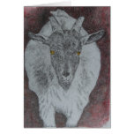 caesar the goat greeting cards