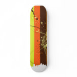 Cafe Encounter skateboards