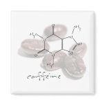 Caffeine beans magnets
