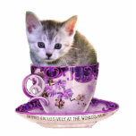Caffeine Cat 2 photosculpture