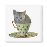 Caffeine Cat magnet