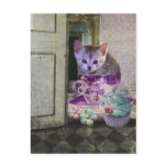 Caffeine Cat postcard