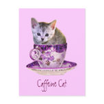 Caffeine Cat postcard