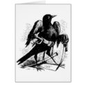 Caim Beast cards