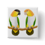 Caique Friends Pin buttons