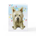 Cairn Terrier 1 Christmas cards