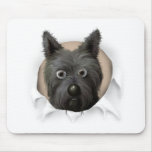 Cairn Terrier 2 Busting Out mousepads