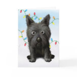 Cairn Terrier 2 Christmas cards