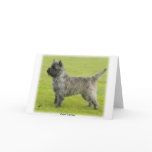 Cairn Terrier 9R071D-129 cards
