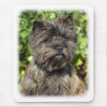 Cairn Terrier 9W048D-142_2 mousepads