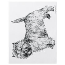 Cairn Terrier Flyer