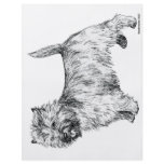 Cairn Terrier flyers