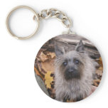 Cairn Terrier in Autumn Keychain