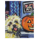 Cairn Terrier investigates glowing pumpkin flyers