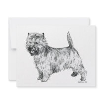 Cairn Terrier Announcement