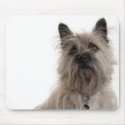 Cairn Terrier Mousepad