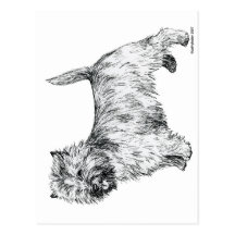 Cairn Terrier Postcards