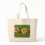 Cairn Terrier puppies 9W048D-007 bags