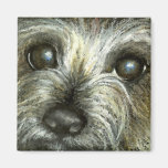 Cairn terrier puppy magnet