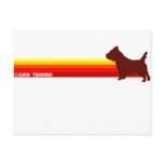 Cairn Terrier With Stripes Postcard