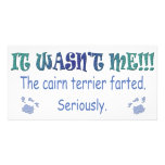 CairnTerrier photo cards