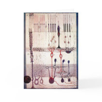 Cajal Greetings Greeting Cards