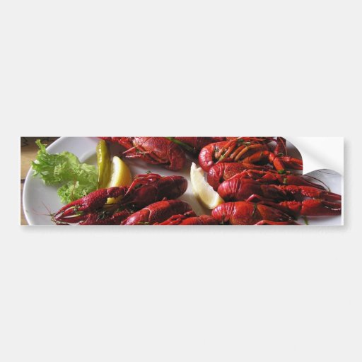 Cajun Fever! Bumper Sticker