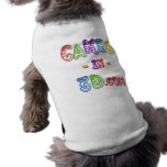 Cakes in 3D logo pet clothing