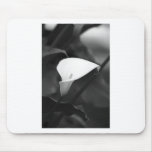 Cala-Lilly Flower mousepads