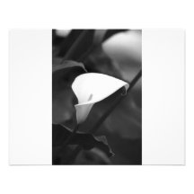 Cala-Lilly Flower Personalized Invites