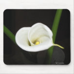 Cala Lily Mousepad