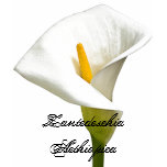 Cala Lily t-shirts