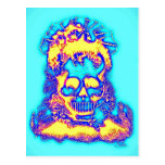 Calavera Calabera colorfull postcard