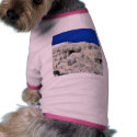 Calcium Mammoth Hot Springs pet clothing